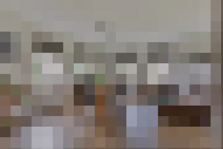 Bloemakkers 10 Gieten thumbnail 21