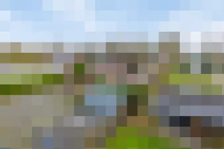 Bloemakkers 10 Gieten thumbnail 43