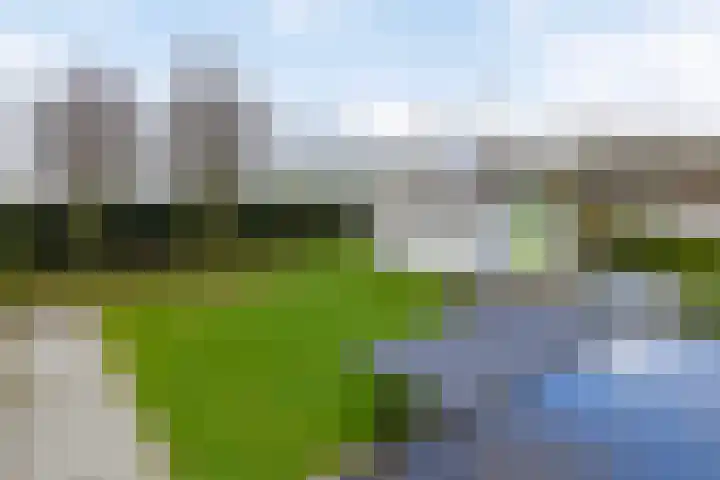 Bloemakkers 10 Gieten thumbnail 49