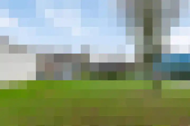Bloemakkers 10 Gieten thumbnail 50