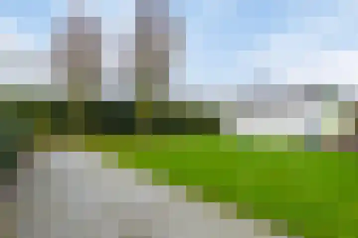 Bloemakkers 10 Gieten thumbnail 52