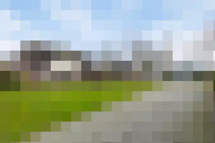 Bloemakkers 10 Gieten thumbnail 53