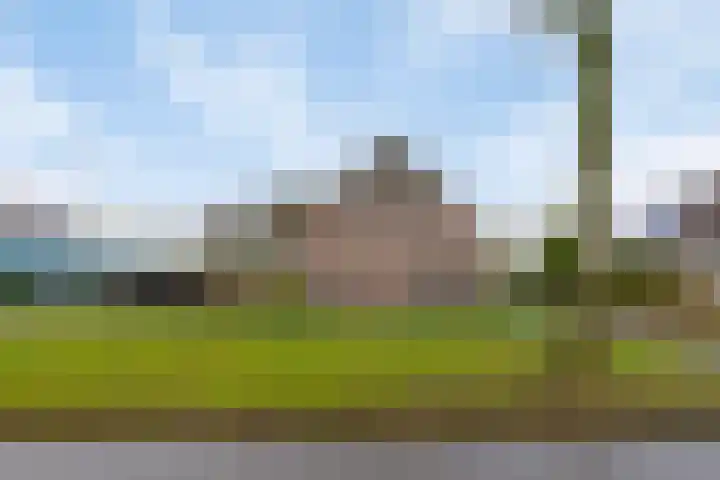 Bloemakkers 10 Gieten thumbnail 8