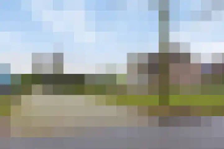 Bloemakkers 10 Gieten thumbnail 9