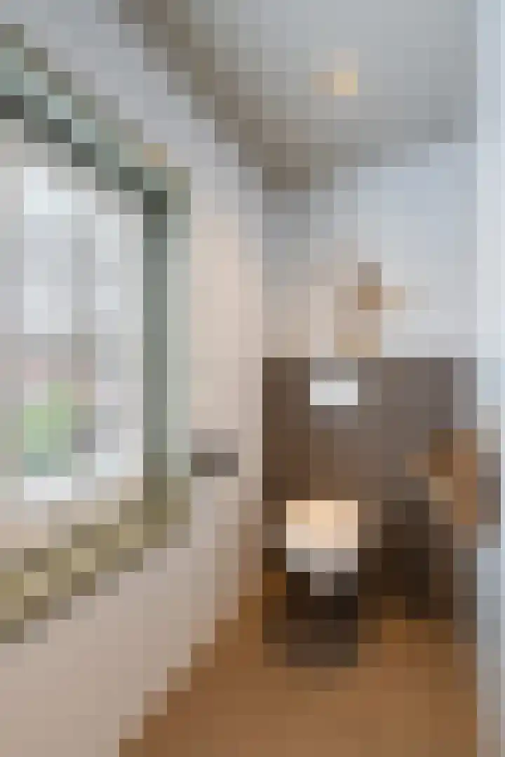 Bloemartsstraat 4 Weert thumbnail 48