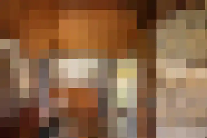 Bloemberg 1 Veeningen thumbnail 11