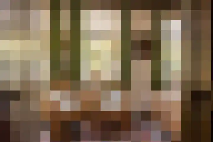Bloemberg 1 Veeningen thumbnail 12