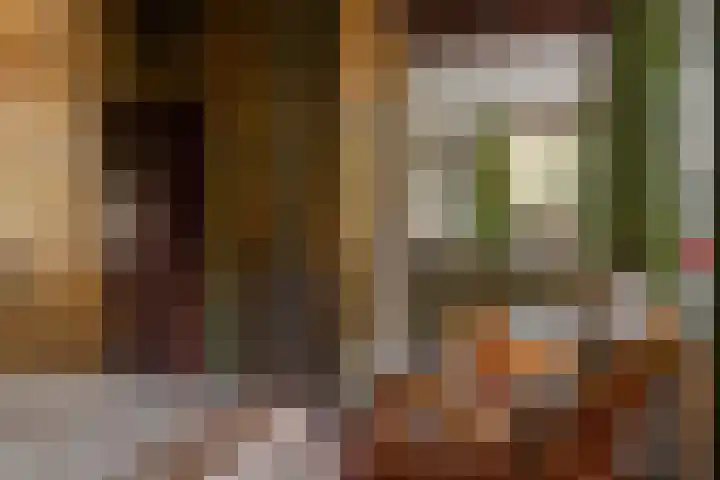 Bloemberg 1 Veeningen thumbnail 14