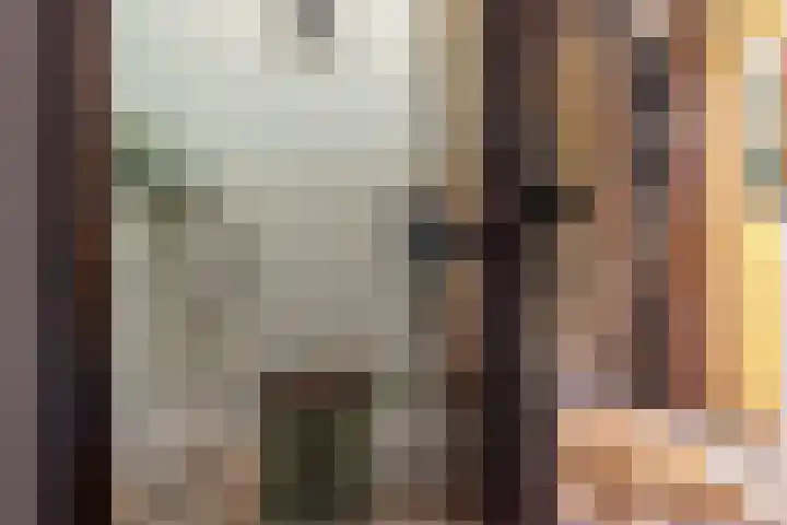 Bloemberg 1 Veeningen thumbnail 16