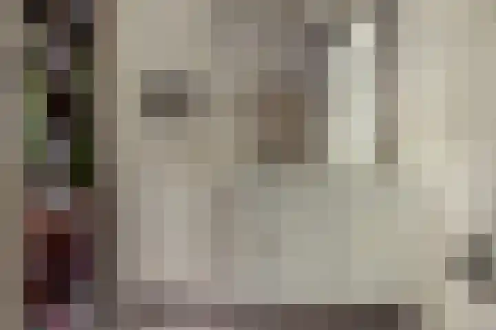 Bloemberg 1 Veeningen thumbnail 18