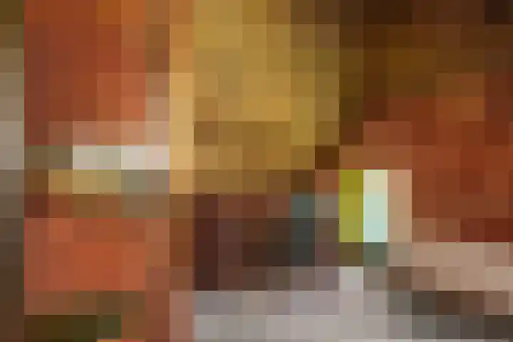 Bloemberg 1 Veeningen thumbnail 22