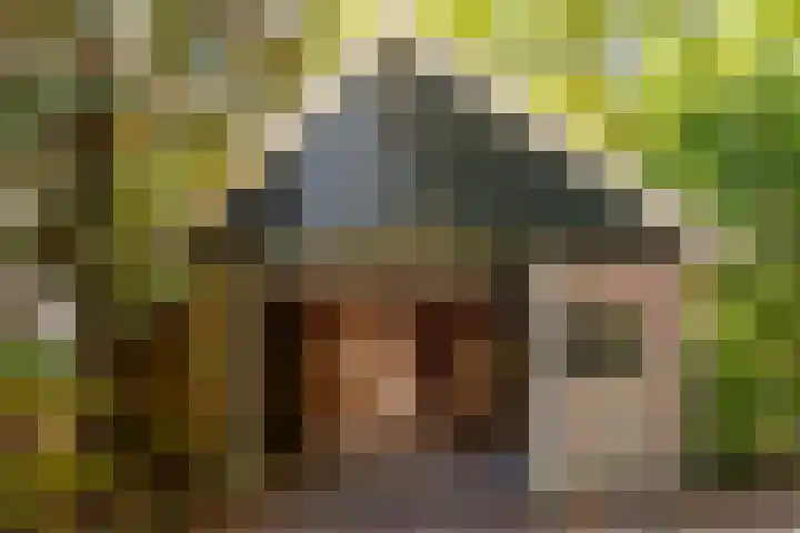 Bloemberg 1 Veeningen thumbnail 26