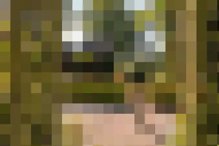 Bloemberg 1 Veeningen thumbnail 27