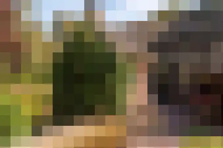Bloemberg 1 Veeningen thumbnail 28