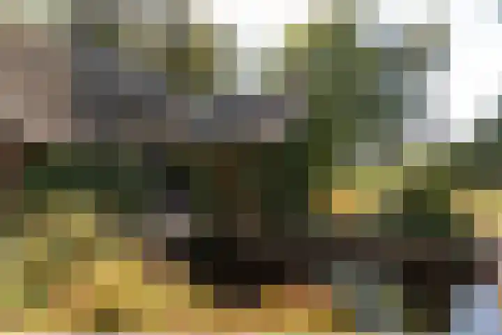 Bloemberg 1 Veeningen thumbnail 29