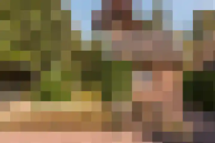 Bloemberg 1 Veeningen thumbnail 32