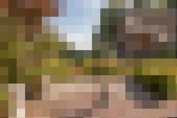 Bloemberg 1 Veeningen thumbnail 34