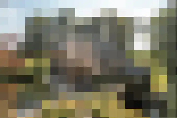 Bloemberg 1 Veeningen thumbnail 37