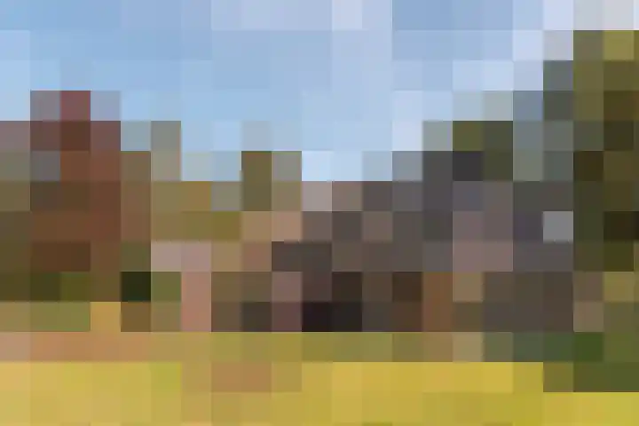 Bloemberg 1 Veeningen thumbnail 38