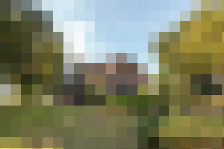 Bloemberg 1 Veeningen thumbnail 39
