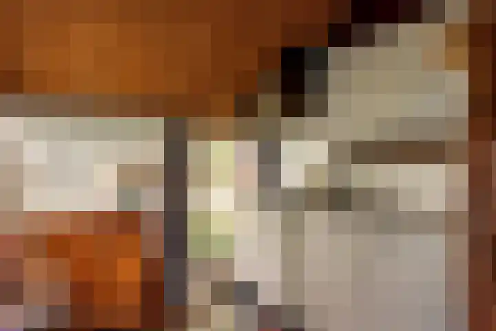 Bloemberg 1 Veeningen thumbnail 4