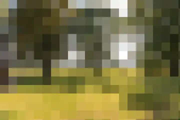 Bloemberg 1 Veeningen thumbnail 41
