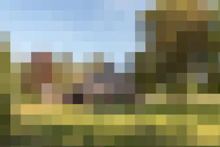 Bloemberg 1 Veeningen thumbnail 43