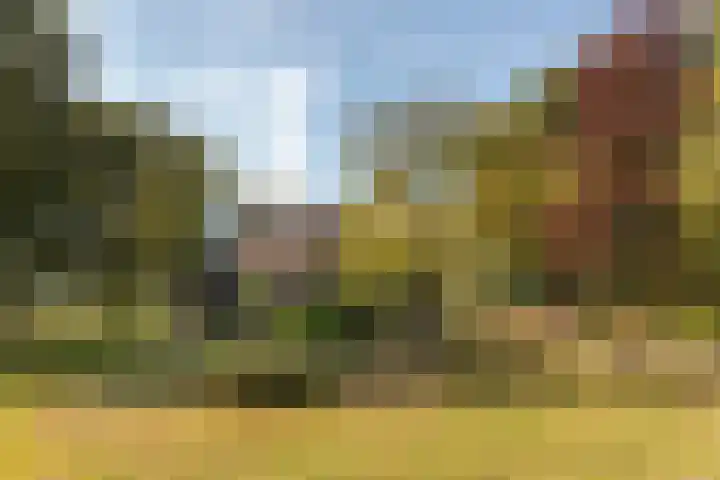 Bloemberg 1 Veeningen thumbnail 45
