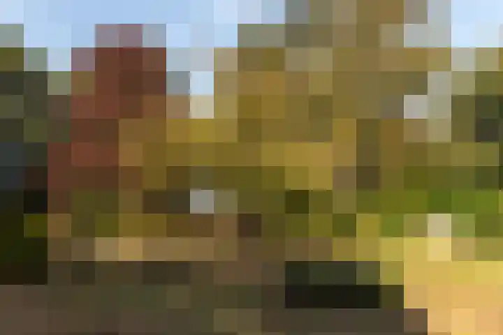 Bloemberg 1 Veeningen thumbnail 46