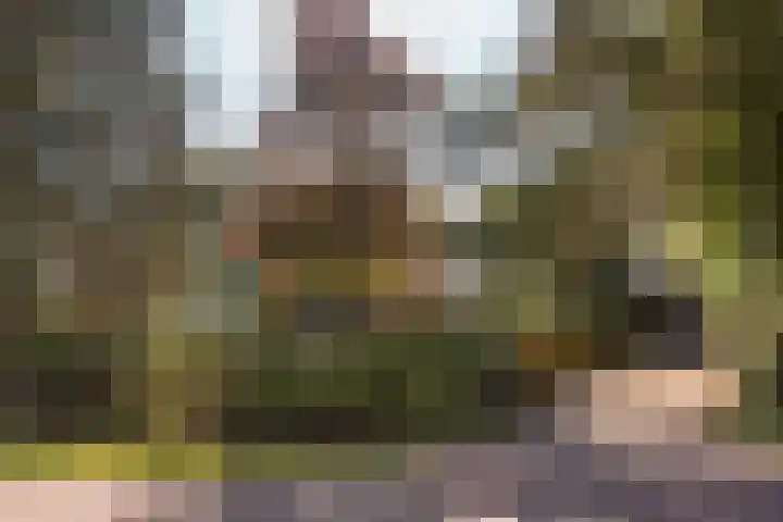 Bloemberg 1 Veeningen thumbnail 47