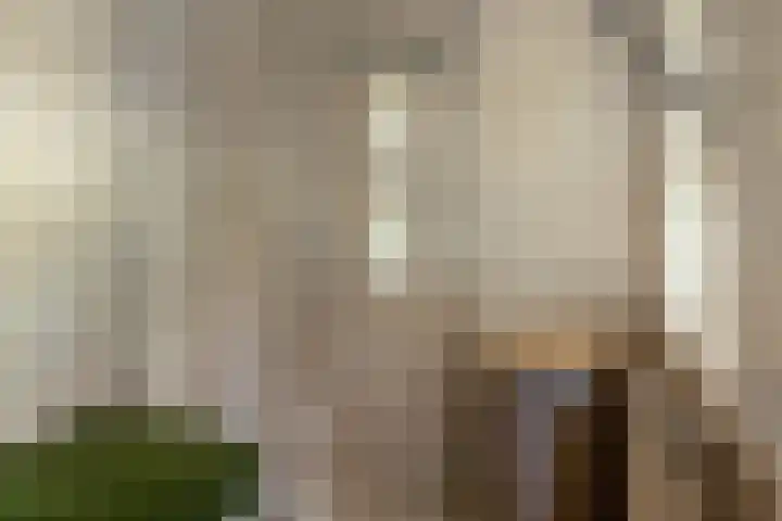 Bloemberg 1 Veeningen thumbnail 5