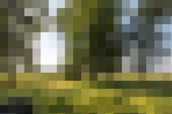 Bloemberg 1 Veeningen thumbnail 51