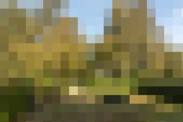 Bloemberg 1 Veeningen thumbnail 53