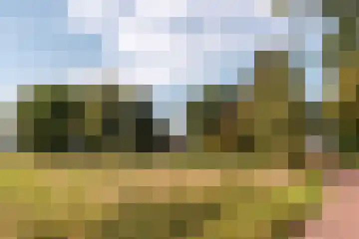 Bloemberg 1 Veeningen thumbnail 54