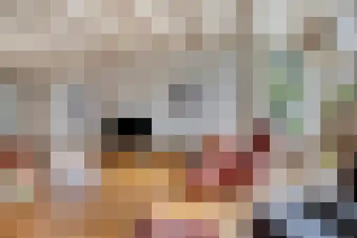 Bloemberg 24 Veeningen thumbnail 12