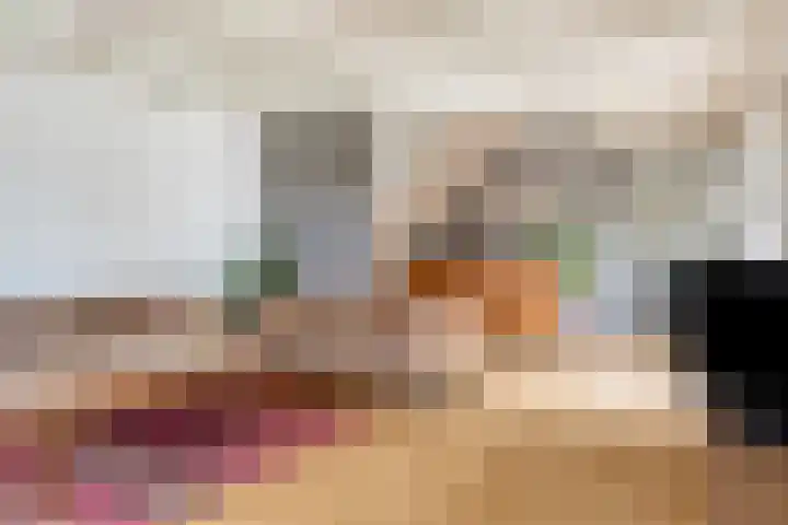 Bloemberg 24 Veeningen thumbnail 13