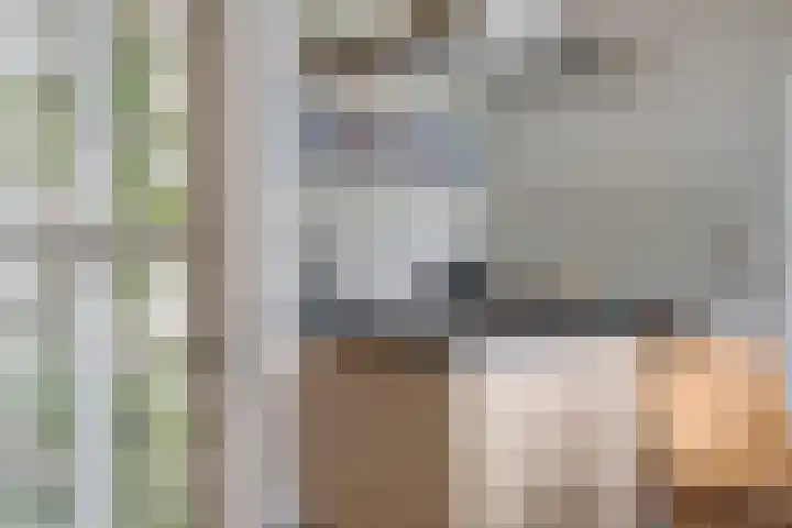 Bloemberg 24 Veeningen thumbnail 23