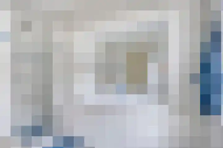 Bloemberg 24 Veeningen thumbnail 32