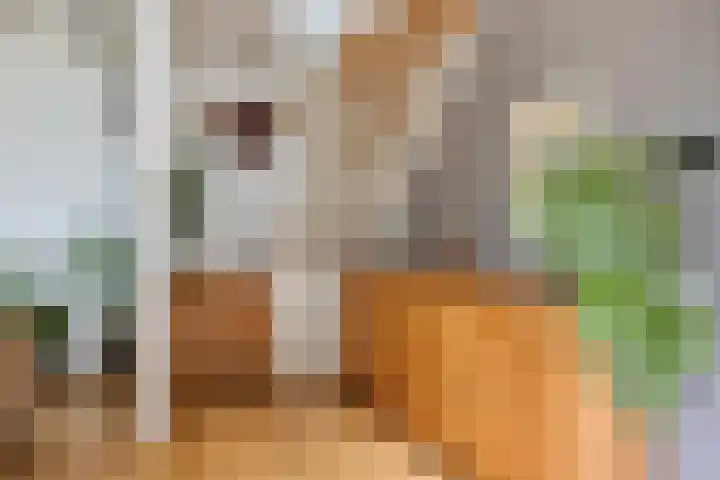 Bloemberg 24 Veeningen thumbnail 33