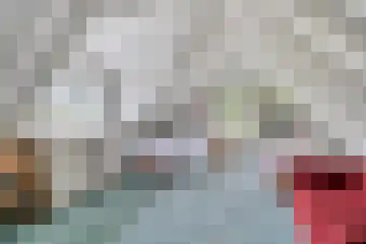 Bloemberg 24 Veeningen thumbnail 36