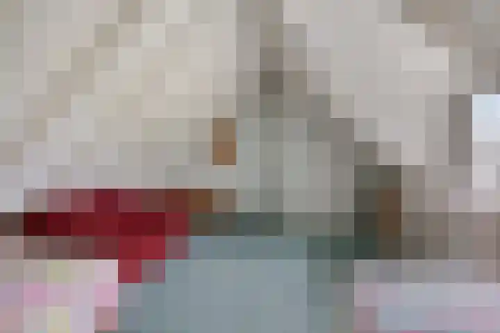 Bloemberg 24 Veeningen thumbnail 37