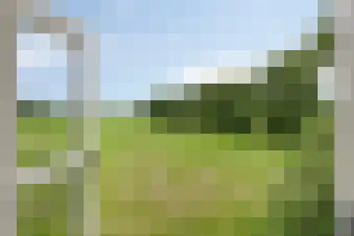 Bloemberg 24 Veeningen thumbnail 38