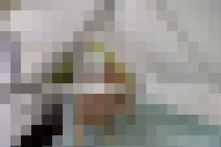 Bloemberg 24 Veeningen thumbnail 39