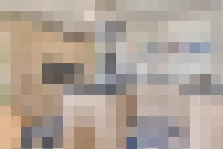 Bloemberg 24 Veeningen thumbnail 4