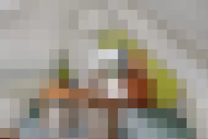 Bloemberg 24 Veeningen thumbnail 40