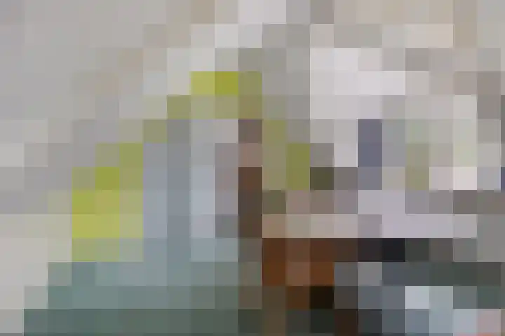 Bloemberg 24 Veeningen thumbnail 41