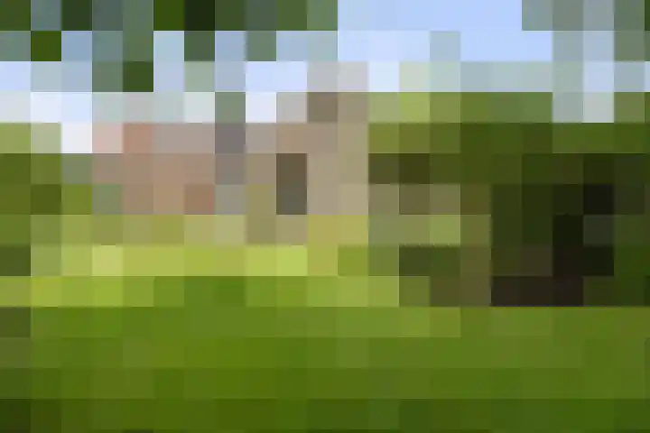 Bloemberg 24 Veeningen thumbnail 44