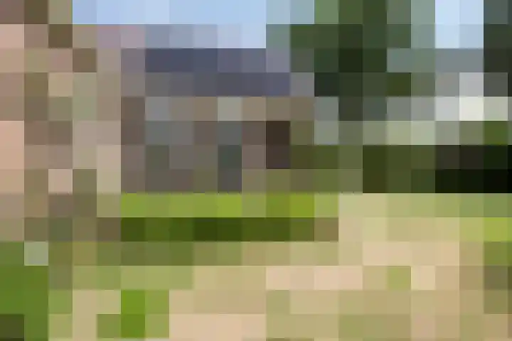 Bloemberg 24 Veeningen thumbnail 46