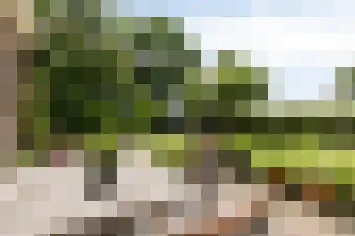 Bloemberg 24 Veeningen thumbnail 47