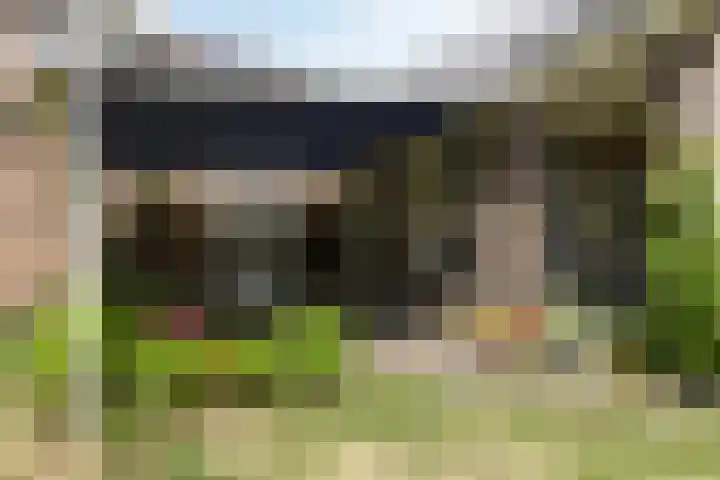 Bloemberg 24 Veeningen thumbnail 48